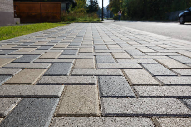 Best Concrete Paver Driveway  in Alamo, TX