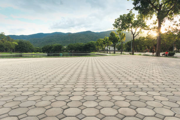 Best Residential Driveway Paver Services  in Alamo, TX