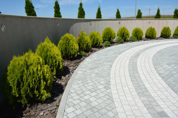 Best Affordable Driveway Pavers  in Alamo, TX