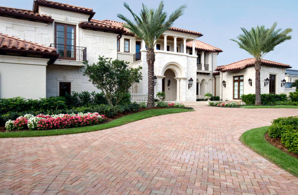 Best Local Driveway Pavers  in Alamo, TX
