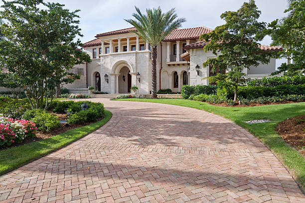 Best Driveway Pavers for Homes  in Alamo, TX