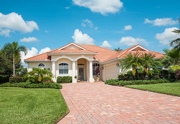 Best Driveway Paver Repair  in Alamo, TX