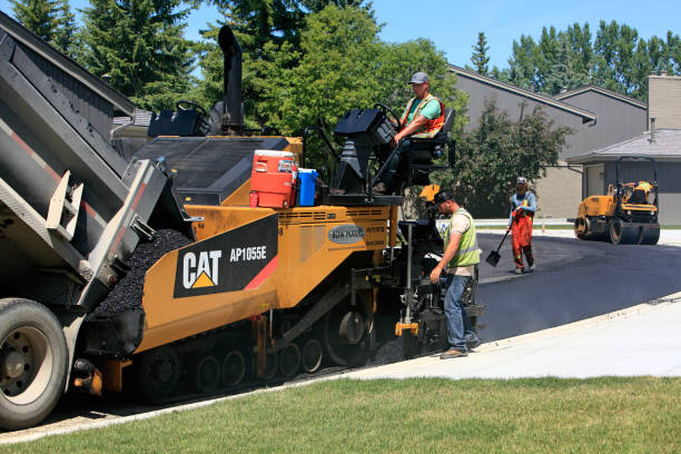 Best Driveway Paving Contractor  in Alamo, TX